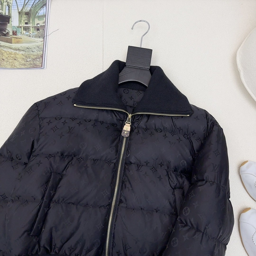 Louis Vuitton Down Jackets